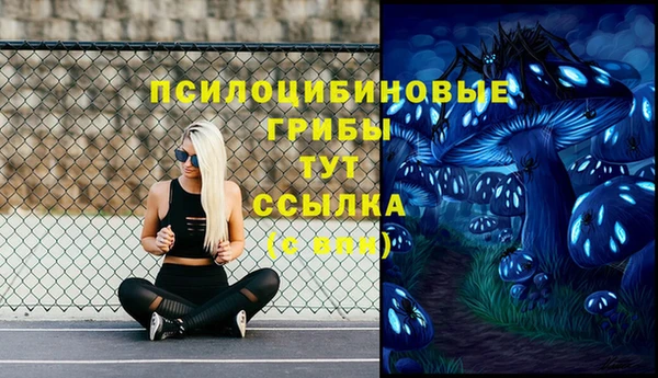 эйфоретик Абаза