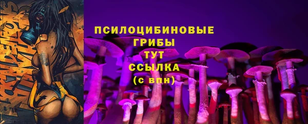 2c-b Абдулино