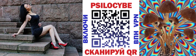 MEGA сайт  Дубовка  Псилоцибиновые грибы Cubensis 