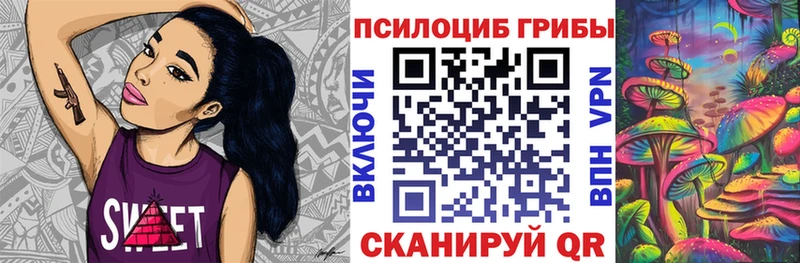 Галлюциногенные грибы Psilocybine cubensis Дубовка